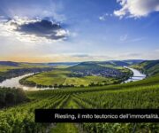 Riesling
