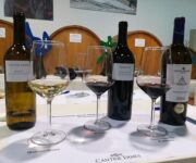 I_vini_degustati_1