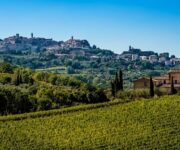 Montepulciano_vista_vigneti