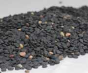 lenticchia_nera_agrirape