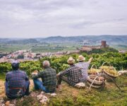 colline_soave