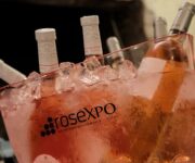 Rosxpo_1036_09_giugno_2017_RXPO1401