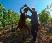 calici_di_stelle_balli_in_vigneto