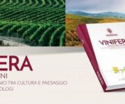 vinifera
