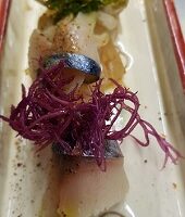 Hiramasa_Up_and_Down