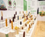 laboratori_del_gusto_1