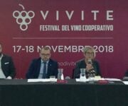 conferenza_presentazione_Vivite