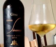 gini_soave