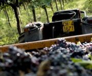 cantina_cooperativa1