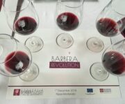 Barbera_revolution_2