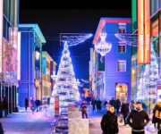 Save-the-date-Bo-finissage-2017_Regis_Colombo