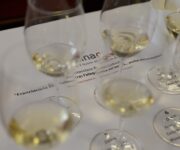 franciacorta_ricci_curbastro_91