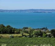 Vigneti_Lago_di_Garda