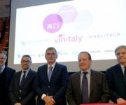 Ferraro_Pantini_Danese_Mantovani_Luongo_Vinitaly2019Veronafiere_FotoEnnevi__PresentazioneRoma28marzo