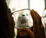 Vignaioli_artigiani_naturali_1