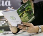 concours_mondial_de_sauvignon_2