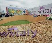 Veronafiere_FotoEnnevi_Vinitaly_0101