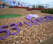 Vinitaly_ingresso