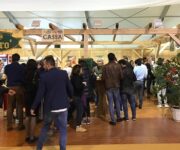 area_birra_vinitaly_1