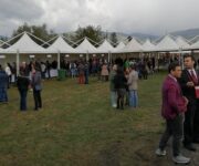 contrade_delletna_2019_3