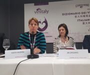 presentazione_dizionario_cinese_2