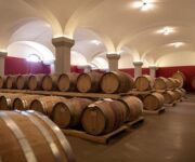 Barricaia_Pakravan_Papi