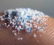 microplastiche