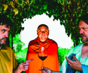 trapasso_acino_di_vino