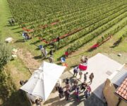 Festival_Franciacorta_in_Cantina_1