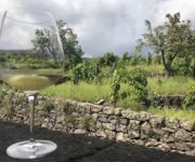 VM_Etna_Bianco_Superiore_DOC_sullo_sfondo_di_un_vigneto_a_Milo