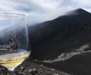 Vinimilo_2019_sullo_sfondo_il_cratere_principale_dellEtna_quota_2900_mt_ph__Melamedia