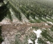 vigneti_langhe_allagati