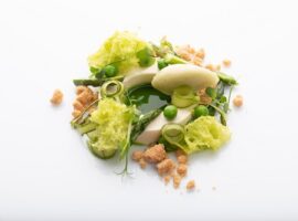 Oltreilgiardino_-_Ph__Stefano_Mileto