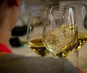 Assaggio_tecnico_ONAV