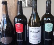Vini_degustati