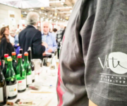 vite_vignaioli_e_territori