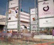 Vinitaly2019_-Veronafiere_FotoEnnevi__MMF5461