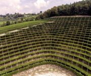 vigneti_azienda_tedeschi