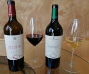 Sicilia_Doc_Bianco_Riserva_Il__Bianco_di_Ludovico_2017_e_Sicilia_Doc_Rosso_Riserva_Ludovico_2015