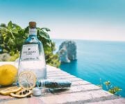Gin_Mare_CAPRI