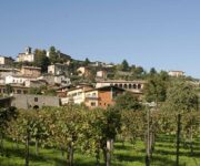 2_Lantieri_Azienda_vinicola_e_Agriturismo