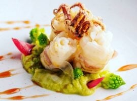 Calamaro_Daniele_Roppo