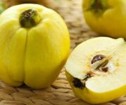 Mela_cotogna_marcyruggi