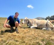 PASCOLI_SECCHI_SUGLI_ALPEGGI_IN_LOMBARDIA