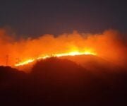 incendio_pantelleria
