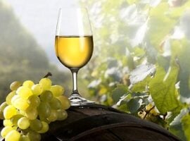 Un bicchiere di vino bianco