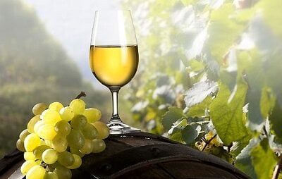 Un bicchiere di vino bianco