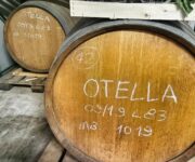 202211_-_1_-_Una_per_tutto_tutto_per_una_-_Otella_Menaresta_-_2