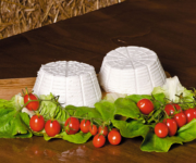 ricotta_di_bufala_campana
