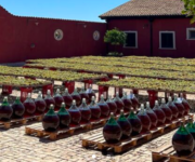 Le damigiane al sole